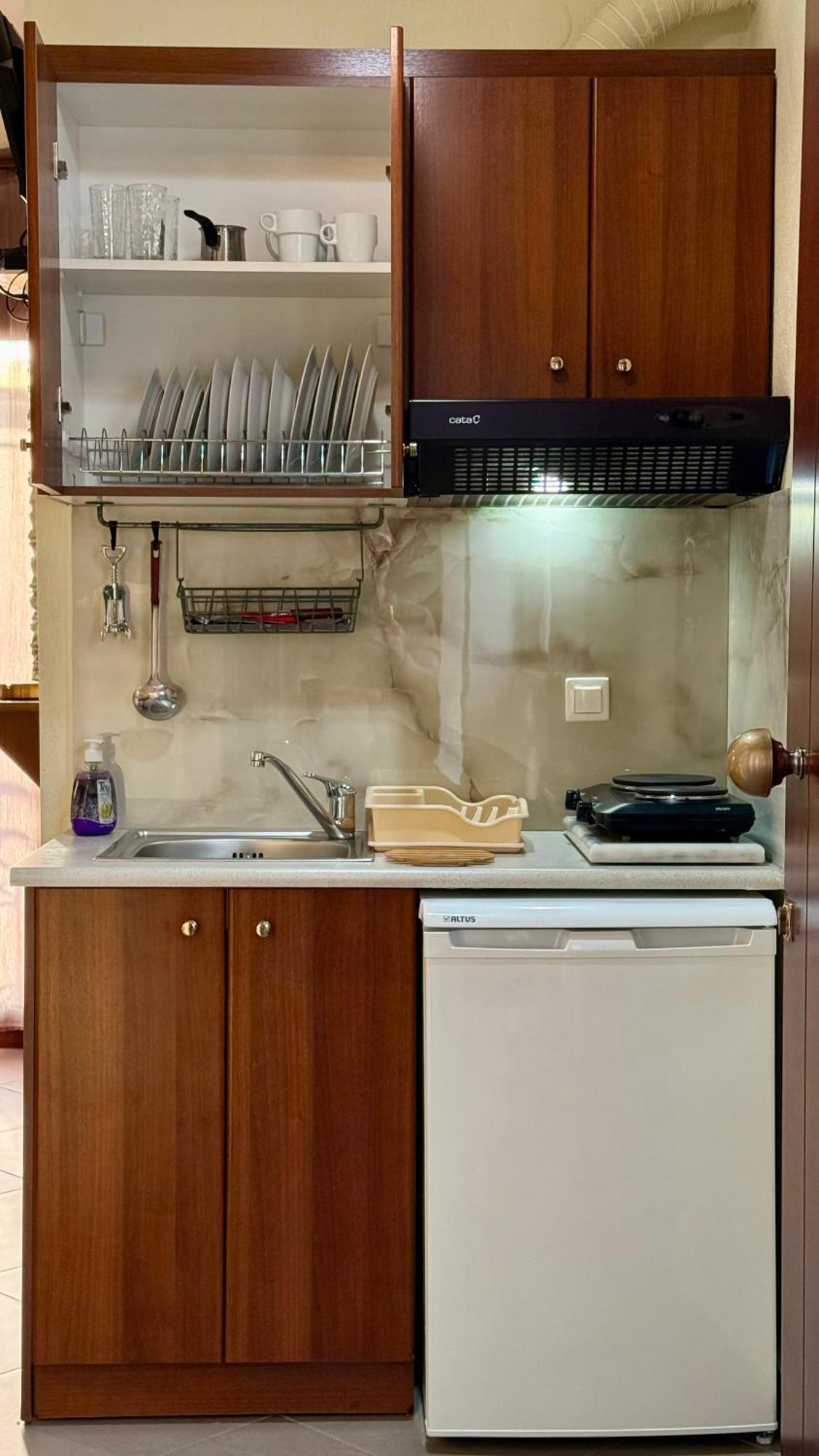 Villa Emmanouela Studios - Family Accommodation Nea Vrasna Ngoại thất bức ảnh